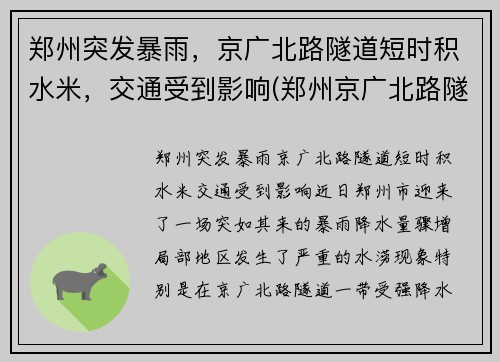 郑州突发暴雨，京广北路隧道短时积水米，交通受到影响(郑州京广北路隧道遇难)