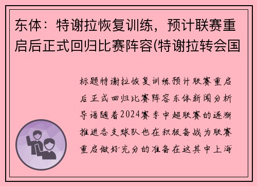 东体：特谢拉恢复训练，预计联赛重启后正式回归比赛阵容(特谢拉转会国米)