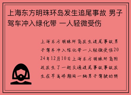 上海东方明珠环岛发生追尾事故 男子驾车冲入绿化带 一人轻微受伤