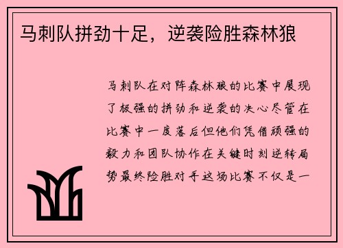 马刺队拼劲十足，逆袭险胜森林狼