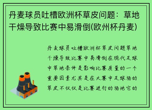 丹麦球员吐槽欧洲杯草皮问题：草地干燥导致比赛中易滑倒(欧州杯丹麦)