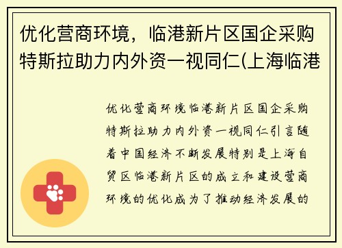 优化营商环境，临港新片区国企采购特斯拉助力内外资一视同仁(上海临港特斯拉配套公司)